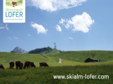 Sommer