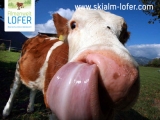 Sommer