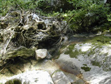 Wasserfallweg auf der Loferer Alm