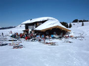 Almtreff Loferer Alm