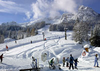 Nachbarlam auf der Loferer Alm